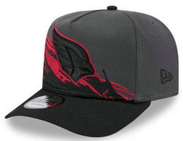 Arizona Cardinals NFL Snapbacks Hats tx 02