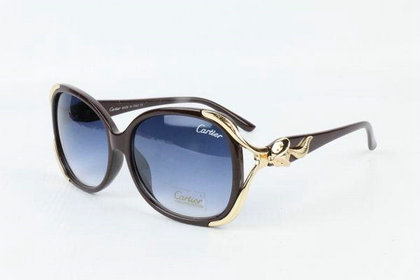 Cartier Sunglasses 13