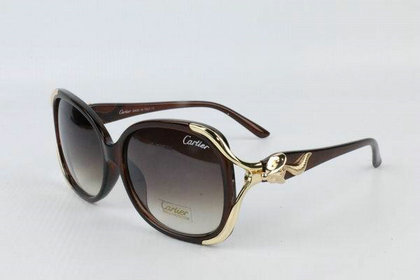 Cartier Sunglasses 14