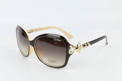 Cartier Sunglasses 2