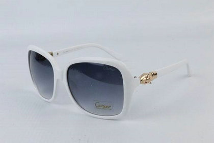 Cartier Sunglasses 53