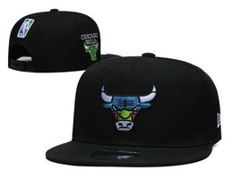Chicago Bulls NBA Snapbacks Hats YS 14