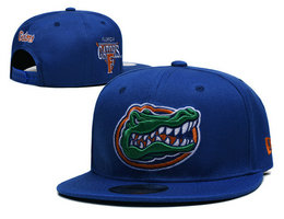 Florida Gators NCAA Snapbacks Hats YS 05