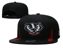 Wisconsin Badgers NCAA Snapbacks Hats YD 3